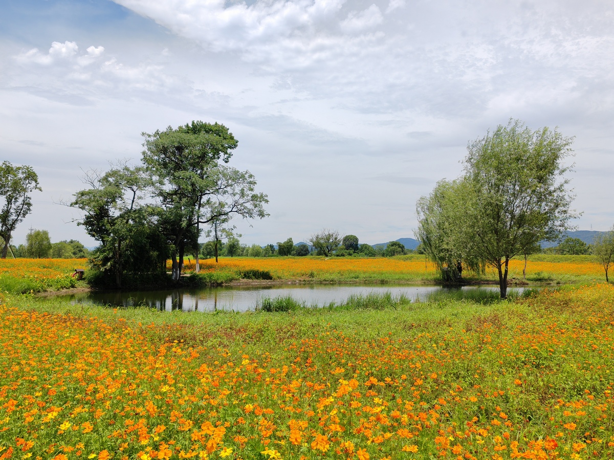 liangzhu-ancient-city-site-park-7.jpg