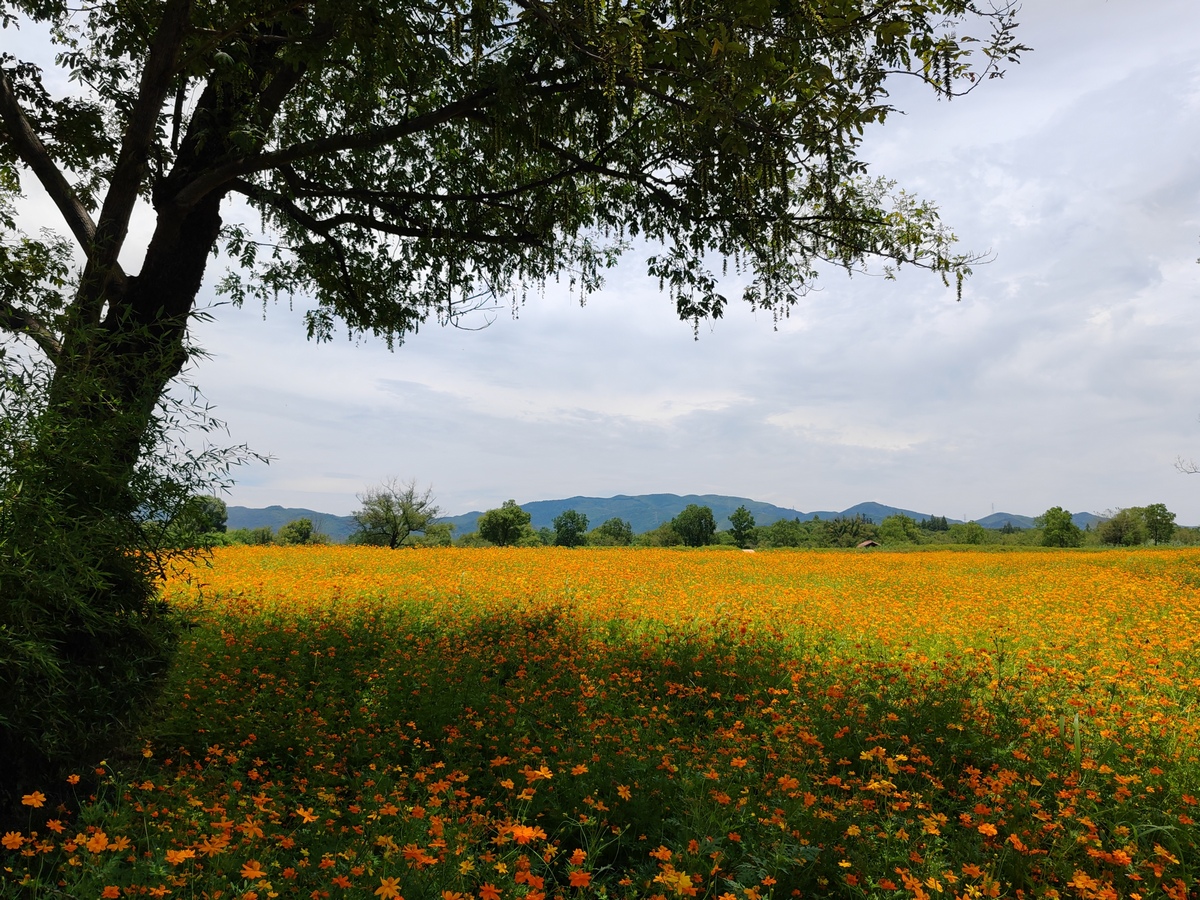 liangzhu-ancient-city-site-park-8.jpg