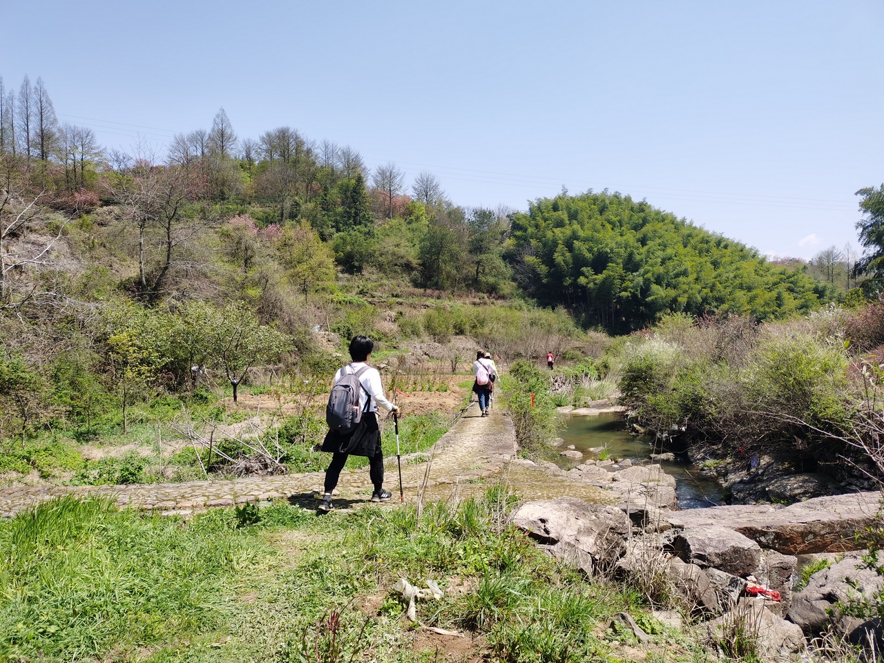 mountain-and-sakura-in-dalan-6.jpg