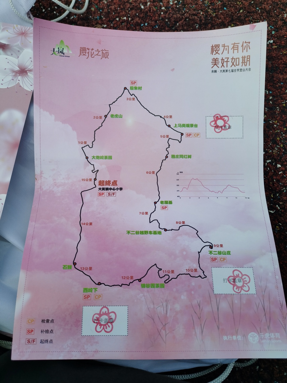 mountain-and-sakura-in-dalan-7.jpg