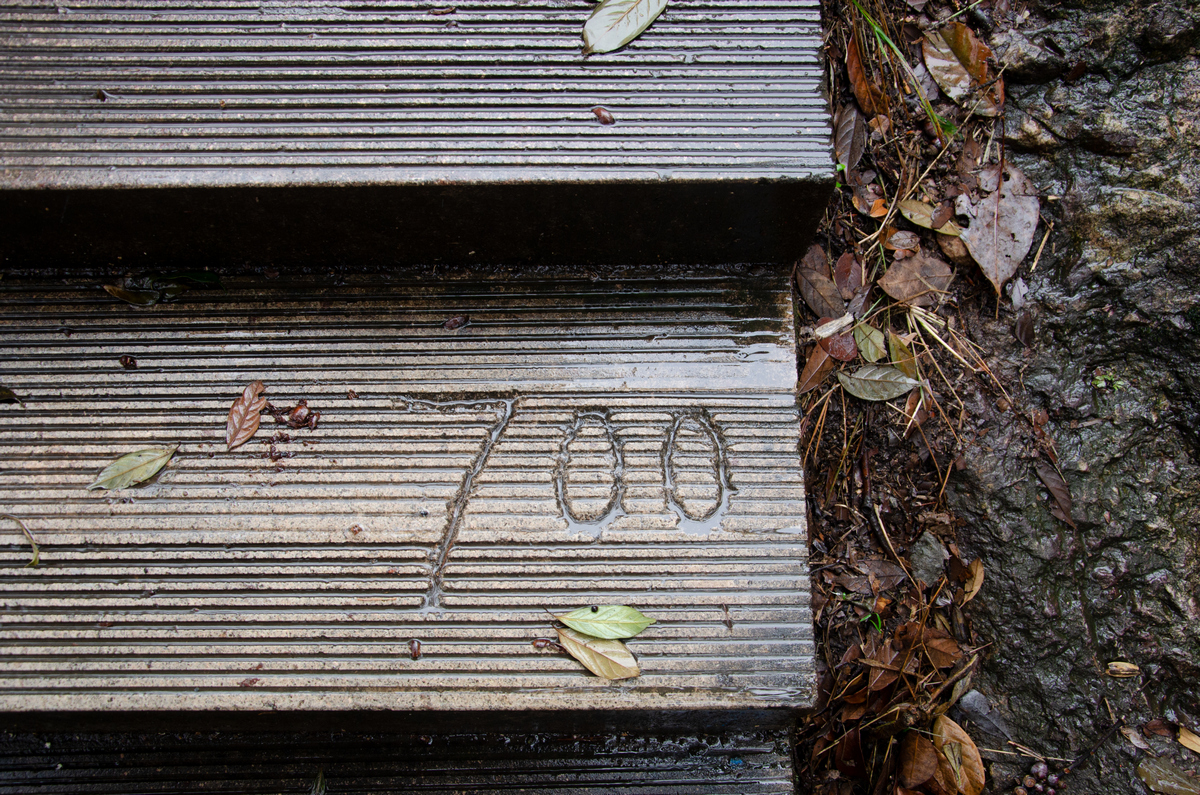 opt-trailwalk-0.jpg