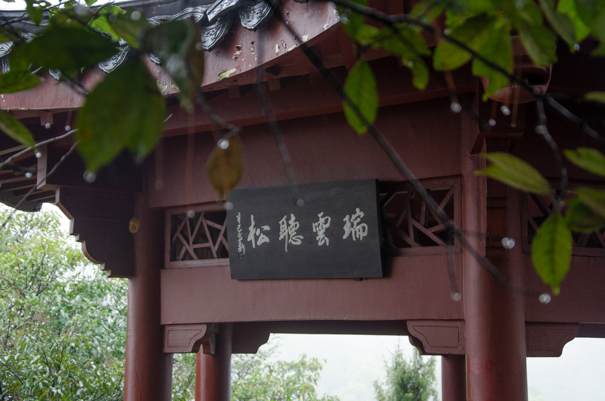 opt-trailwalk-1.jpg