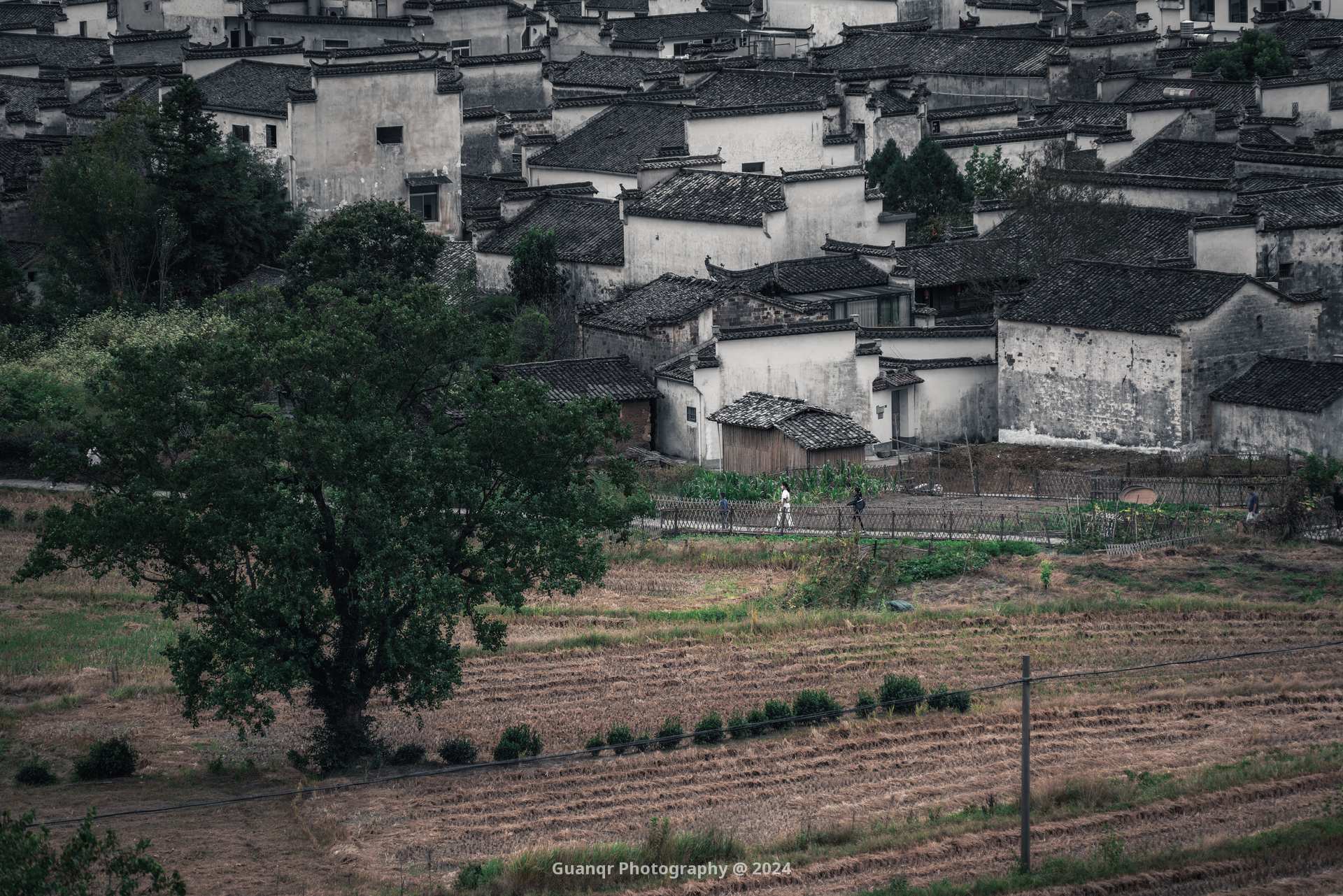 瓦簷秋野