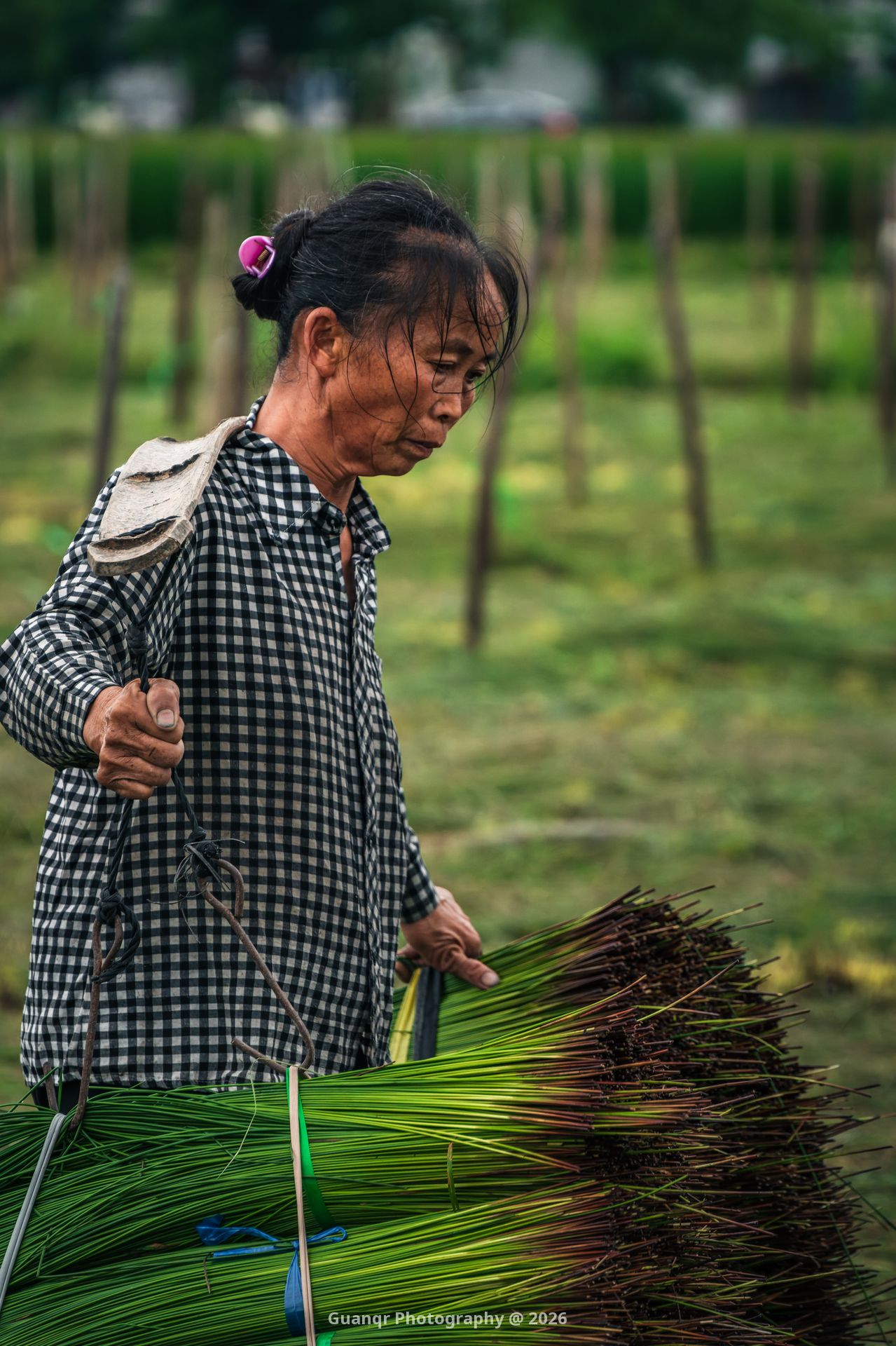 rush-harvest-migrant-workers-4.jpg