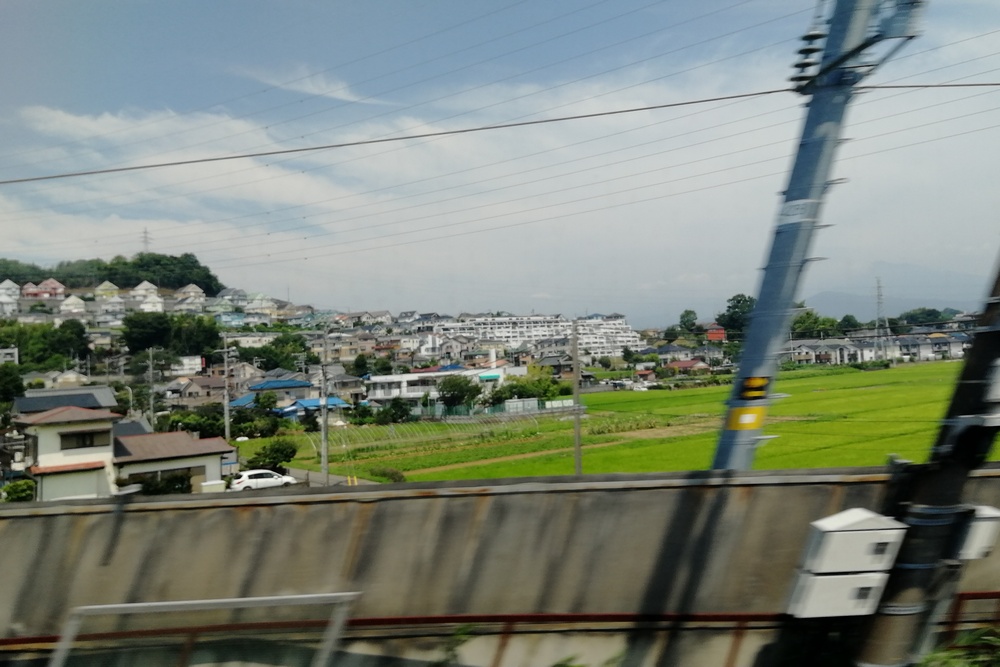 summer-camp-hamamatsu.jpg