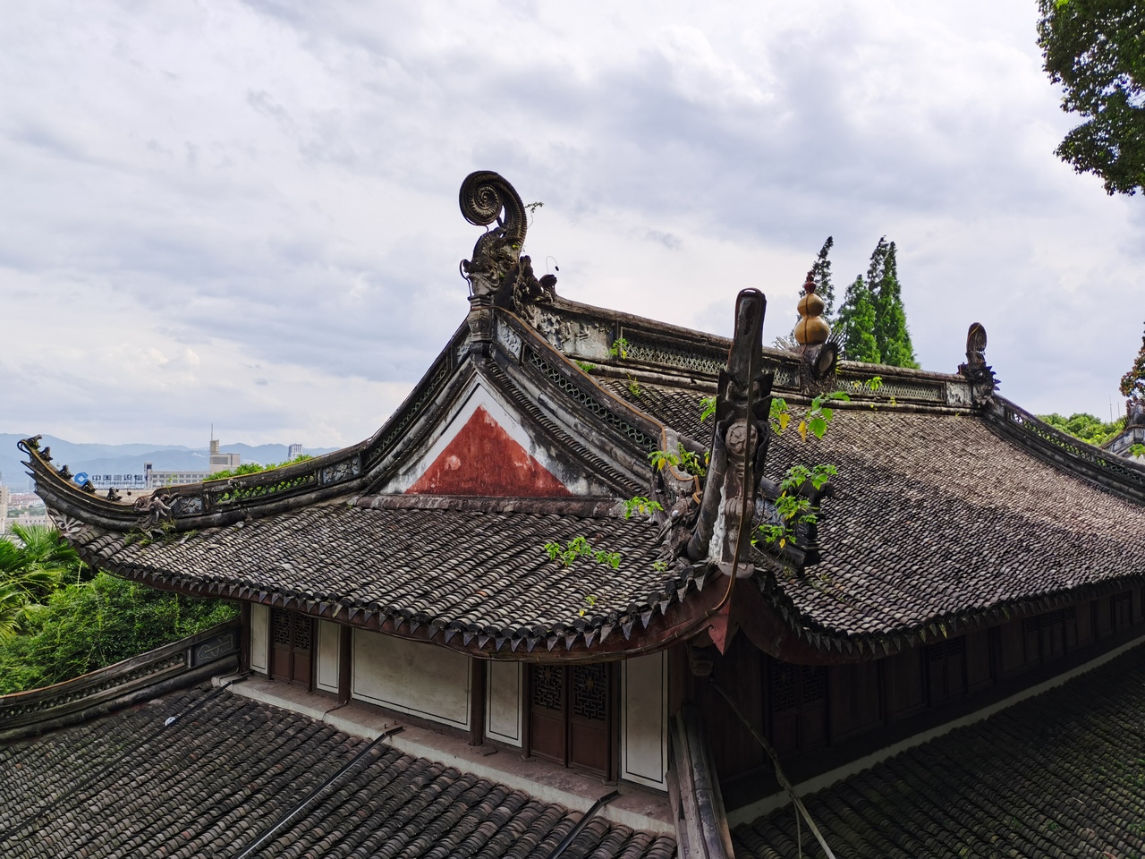the-first-time-to-yuyao-7.jpg