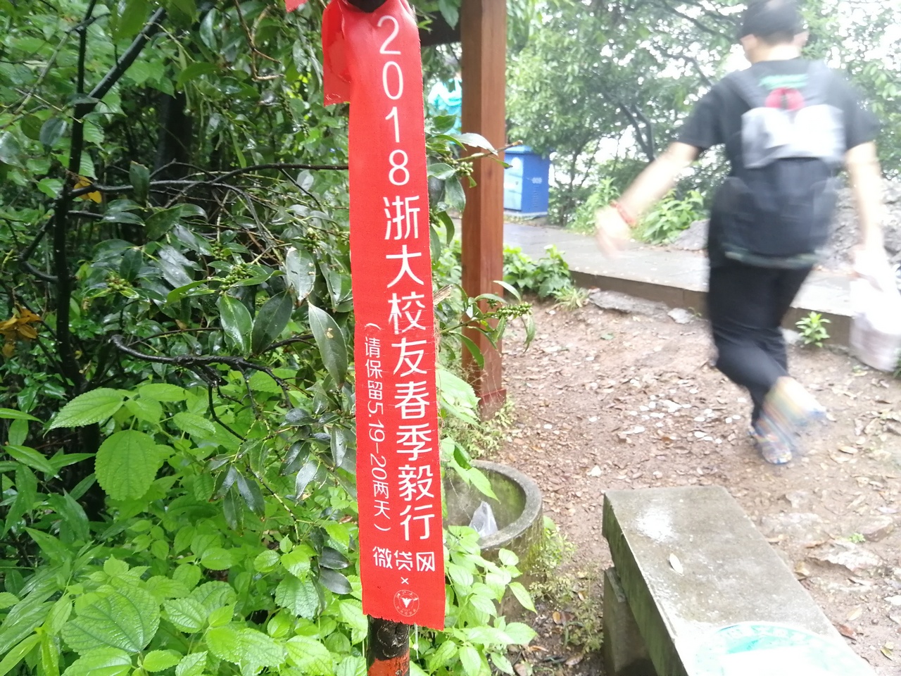 trailwalk.jpg