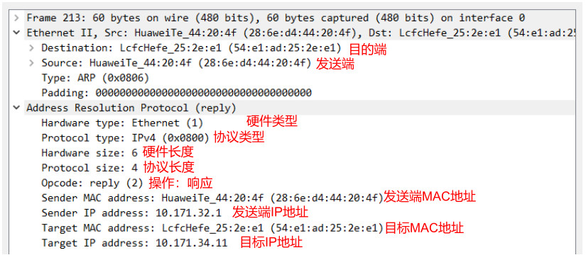 wireshark-arp-respond.jpg